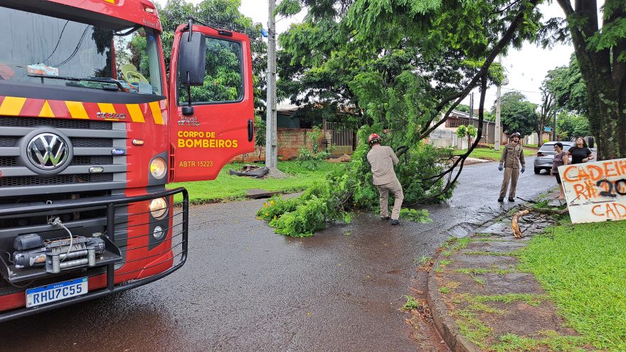 Galho de árvore caído mobiliza Corpo de Bombeiros no Cascavel Velho