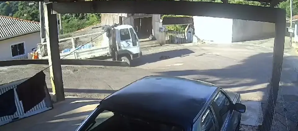 Cachorro atropelado por caminhão de lixo morre e caso é investigado