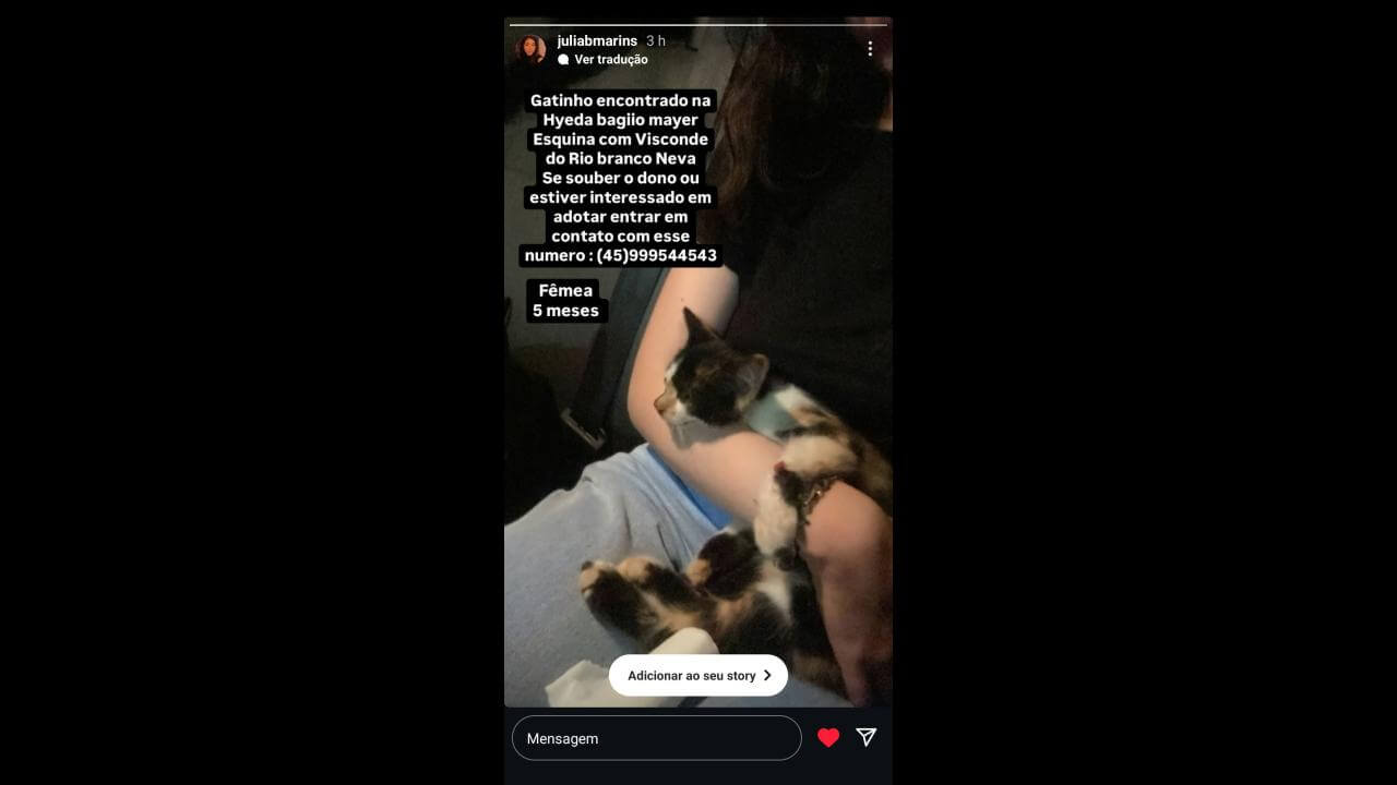 Gata é encontrada no bairro Neva