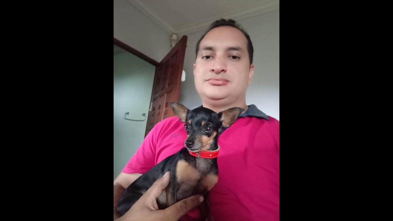 Cachorro Bartolomeu desapareceu no bairro Pacaembu