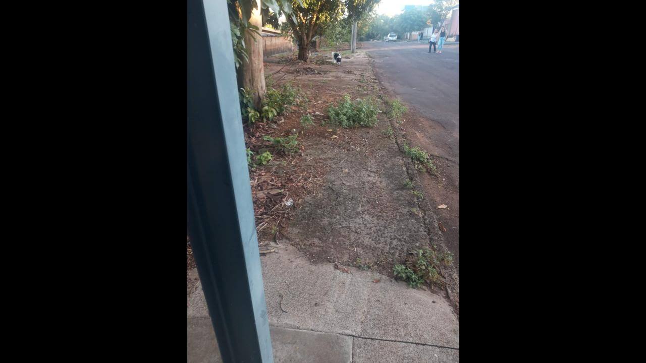 Cachorro é encontrado no bairro Jardim União