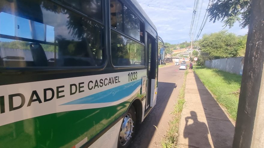 Focus e ônibus do transporte coletivo colidem na rua Maracaí