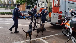 Doguinhos correm atrás da ambulância após resgate de tutor próximo à Catedral