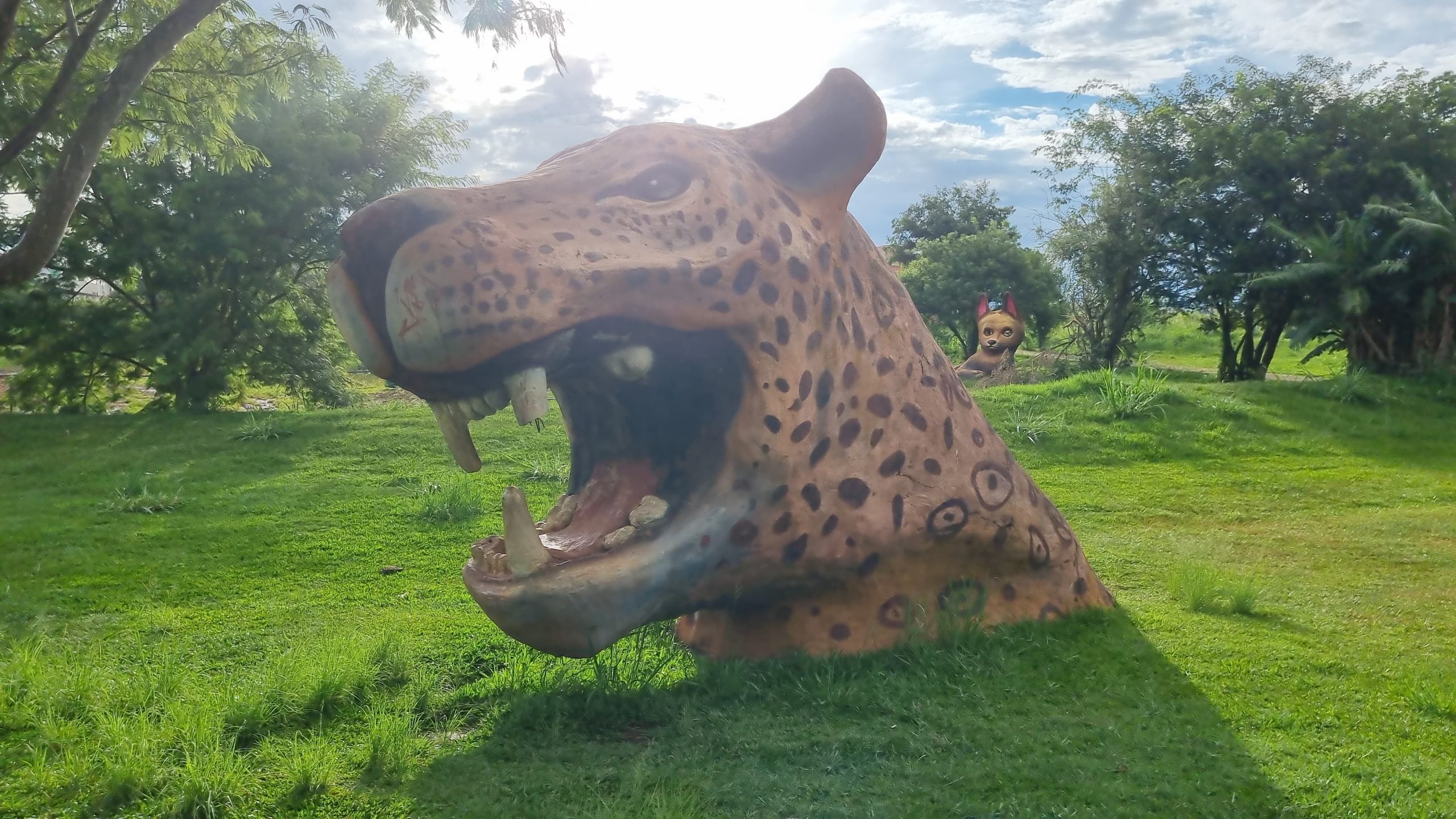 Após relatos de aparição de onça-parda no Ecopark Oeste, câmeras são instaladas pelo IAT