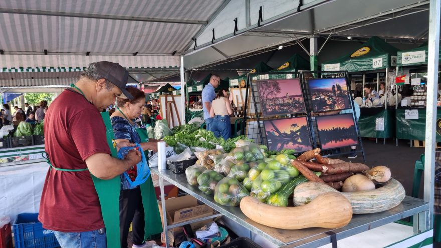 Feira do Teatro: sete anos de encontros dominicais, sabores e cultura em Cascavel