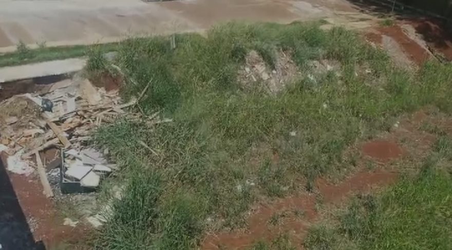 Cobras e aranhas: internauta denuncia abandono de terreno no Loteamento Valência