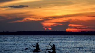 Finanças pautam nova rodada da COP16 da Biodiversidade em Roma