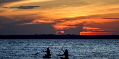 Finanças pautam nova rodada da COP16 da Biodiversidade em Roma Imagem referente a Finanças pautam nova rodada da COP16 da Biodiversidade em Roma
