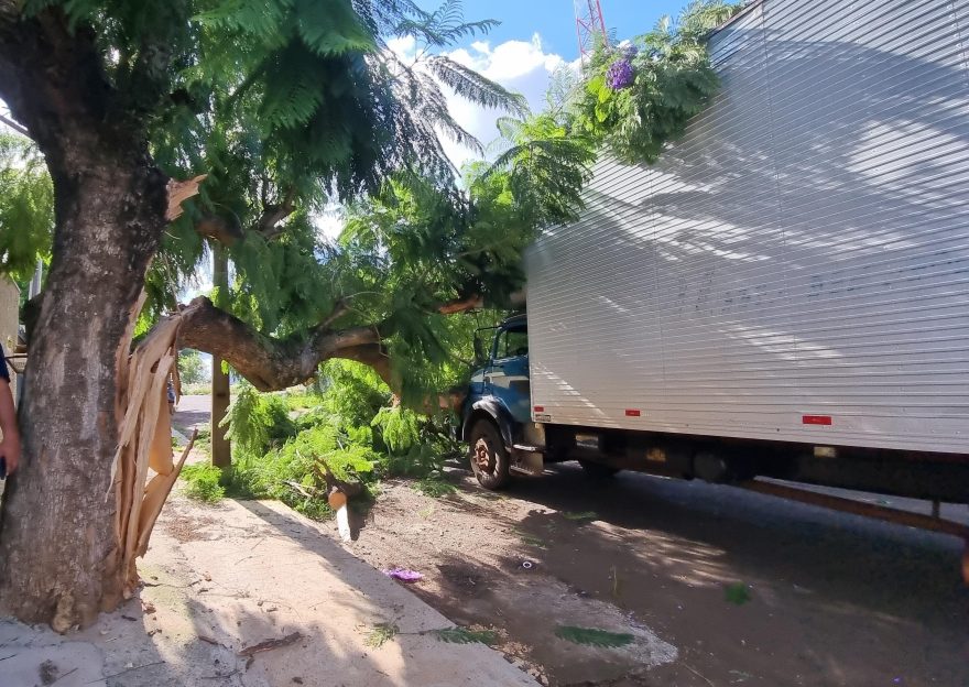 Caminhão “se enrosca” em árvore no Bairro Santa Cruz