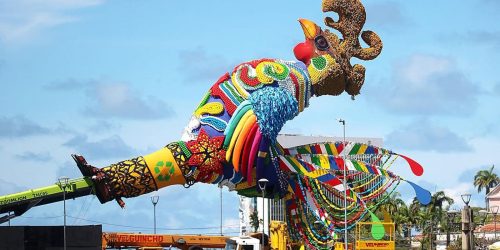 Galo inicia contagem regressiva para carnaval no Recife Imagem referente a Galo inicia contagem regressiva para carnaval no Recife