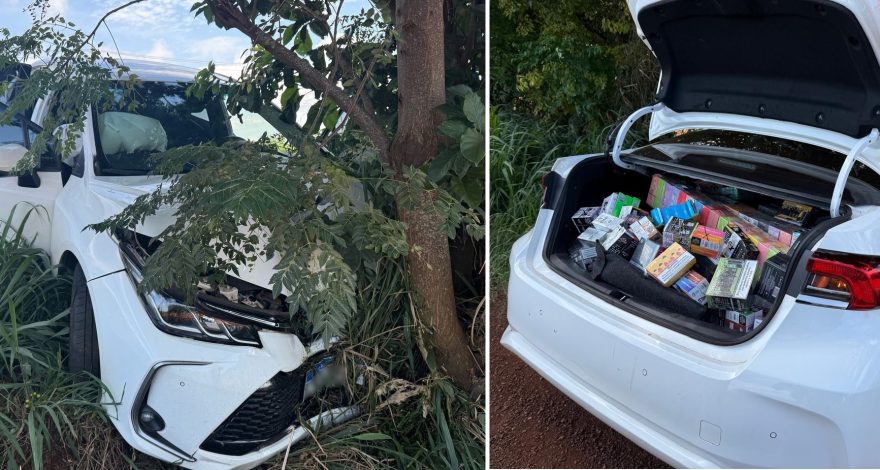 Transportando cigarros eletrônicos, motorista tenta fugir, mas colide contra árvore na BR-369, em Cascavel