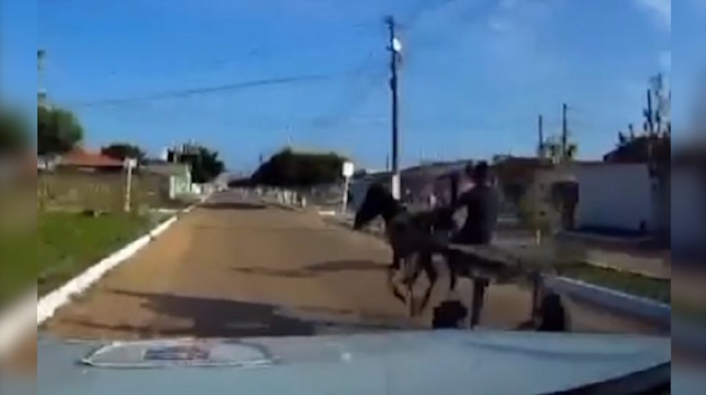 Mulher com pedras de crack aposta corrida de carroça com a PM em Mariluz