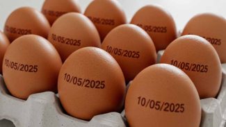 Agricultura suspende determinação de carimbar data de validade em ovos