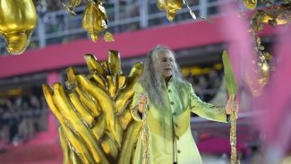 Quatro escolas de samba abrem, hoje, desfiles do Grupo Especial do Rio