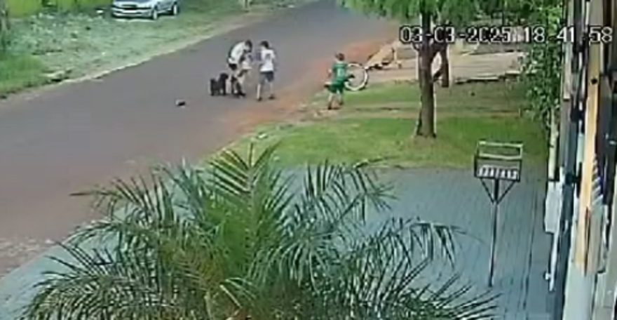 Câmera flagra ataque de cachorro no Santa Felicidade