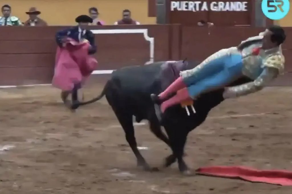 Vídeo: toureiro leva chifrada no reto quando tentava dar o golpe fatal em touro no México