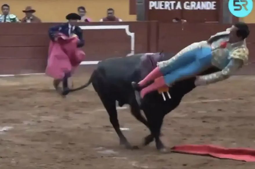 Vídeo: toureiro leva chifrada no reto quando tentava dar o golpe fatal em touro no México