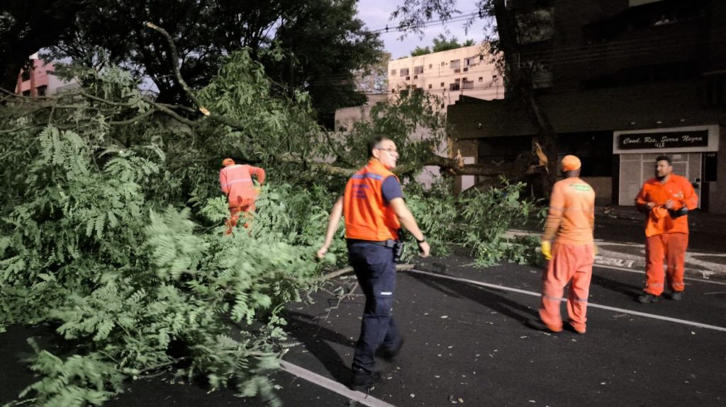 Defesa Civil atende ocorrências causadas pelas rajadas de vento desta quarta-feira (5)