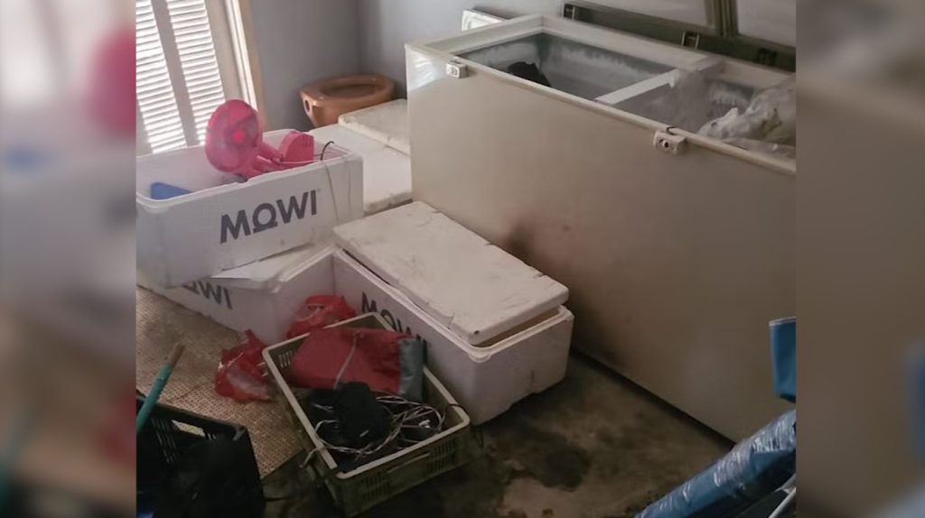 Homem é preso suspeito de esquartejar, carbonizar e esconder corpo do padrasto em freezer no RS