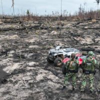 Imagem referente a AGU cobra R$ 76 milhões de desmatadores em cinco biomas