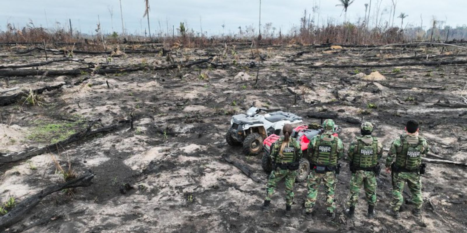 AGU cobra R$ 76 milhões de desmatadores em cinco biomas AGU cobra R$ 76 milhões de desmatadores em cinco biomas