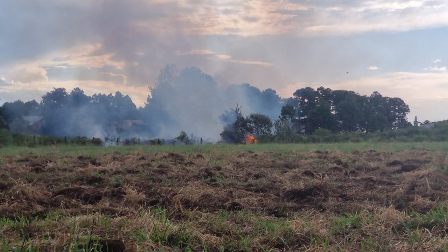 Mais um incêndio ambiental é registrado em Cascavel