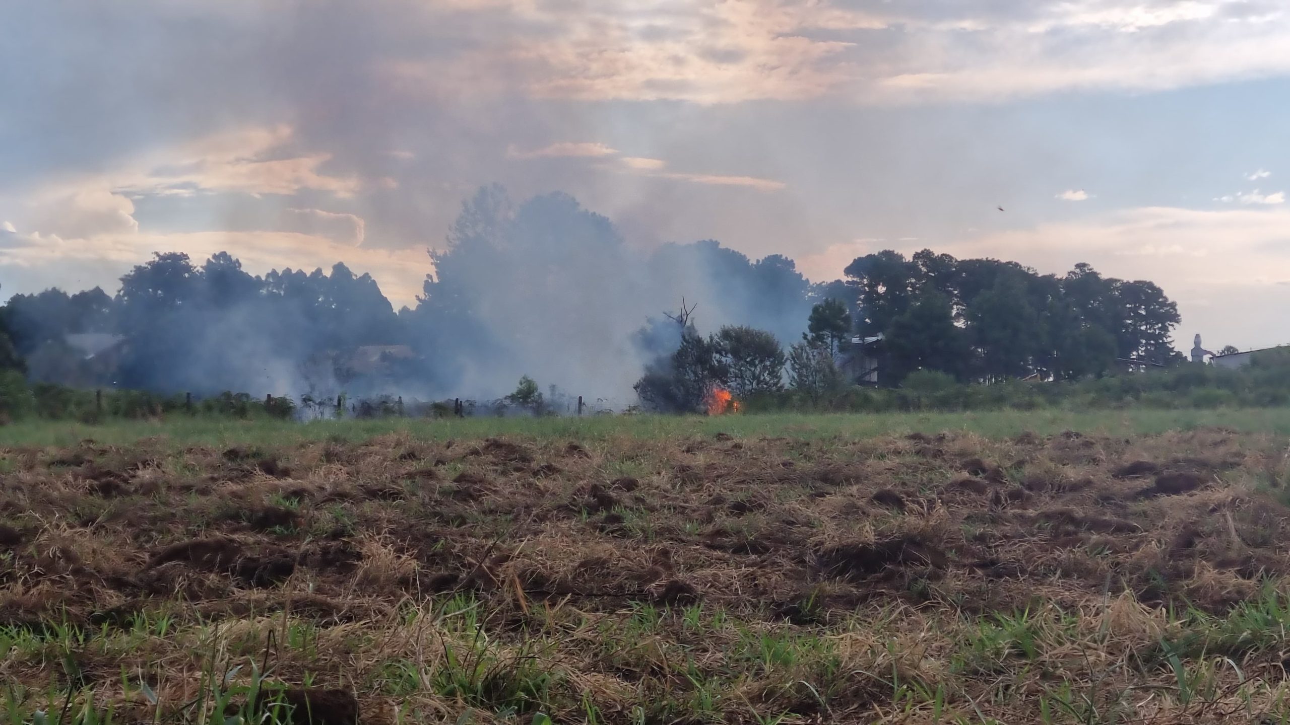 Mais um incêndio ambiental é registrado em Cascavel