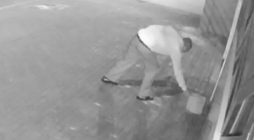 Homem abandona filhotes de gato em frente a pet shop em Cascavel
