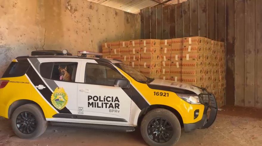 Polícia descobre barracão com 400 caixas de cigarros contrabandeados