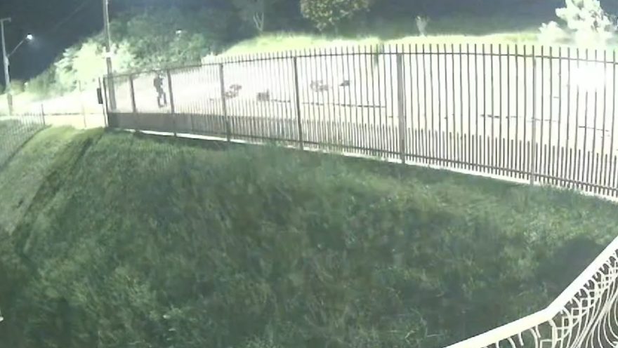 Câmera flagra motociclista atingindo moto estacionada durante “racha”