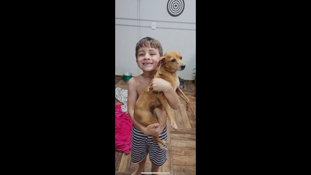 Cachorra MANU desapareceu no bairro Cancelli