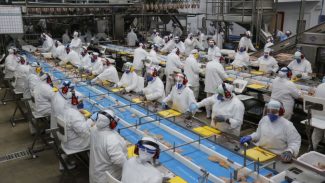 Pós-Carnaval com carteira assinada: Agências do Trabalhador têm 19,6 mil vagas Pós-Carnaval com carteira assinada: Agências do Trabalhador têm 19,6 mil vagas