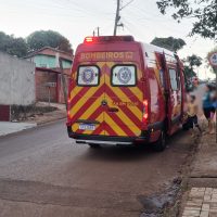 Imagem referente a Menino de 4 anos cai de árvore no Bairro Tarumã em Cascavel