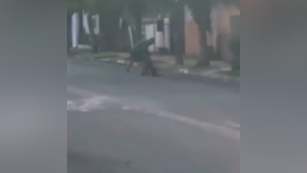 Homem espanca cachorro no meio da rua e acaba preso; veja o vídeo Homem espanca cachorro no meio da rua e acaba preso; veja o vídeo