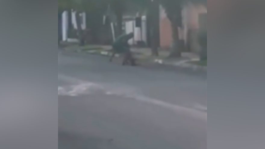 Homem espanca cachorro no meio da rua e acaba preso; veja o vídeo