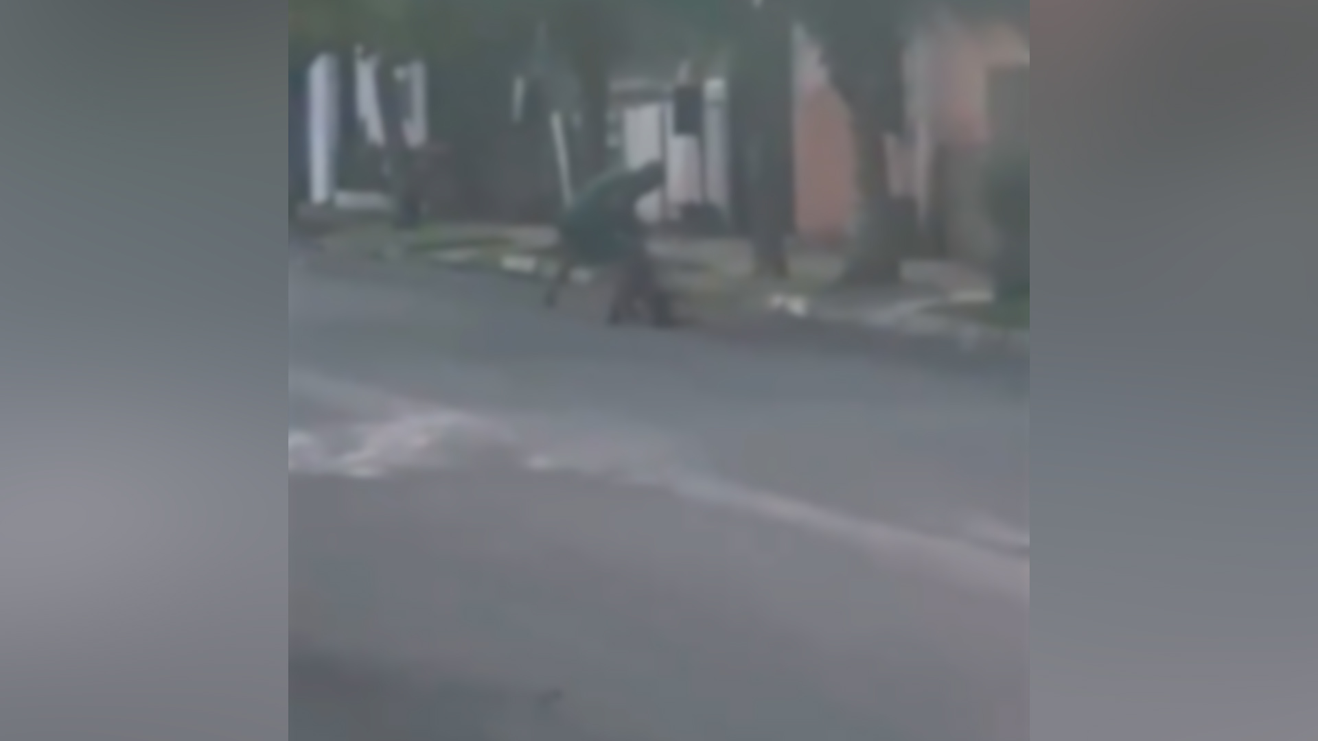 Homem espanca cachorro no meio da rua e acaba preso; veja o vídeo