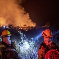 Imagem referente a Justiça prolonga uso da Força Nacional em incêndios na Amazônia Legal