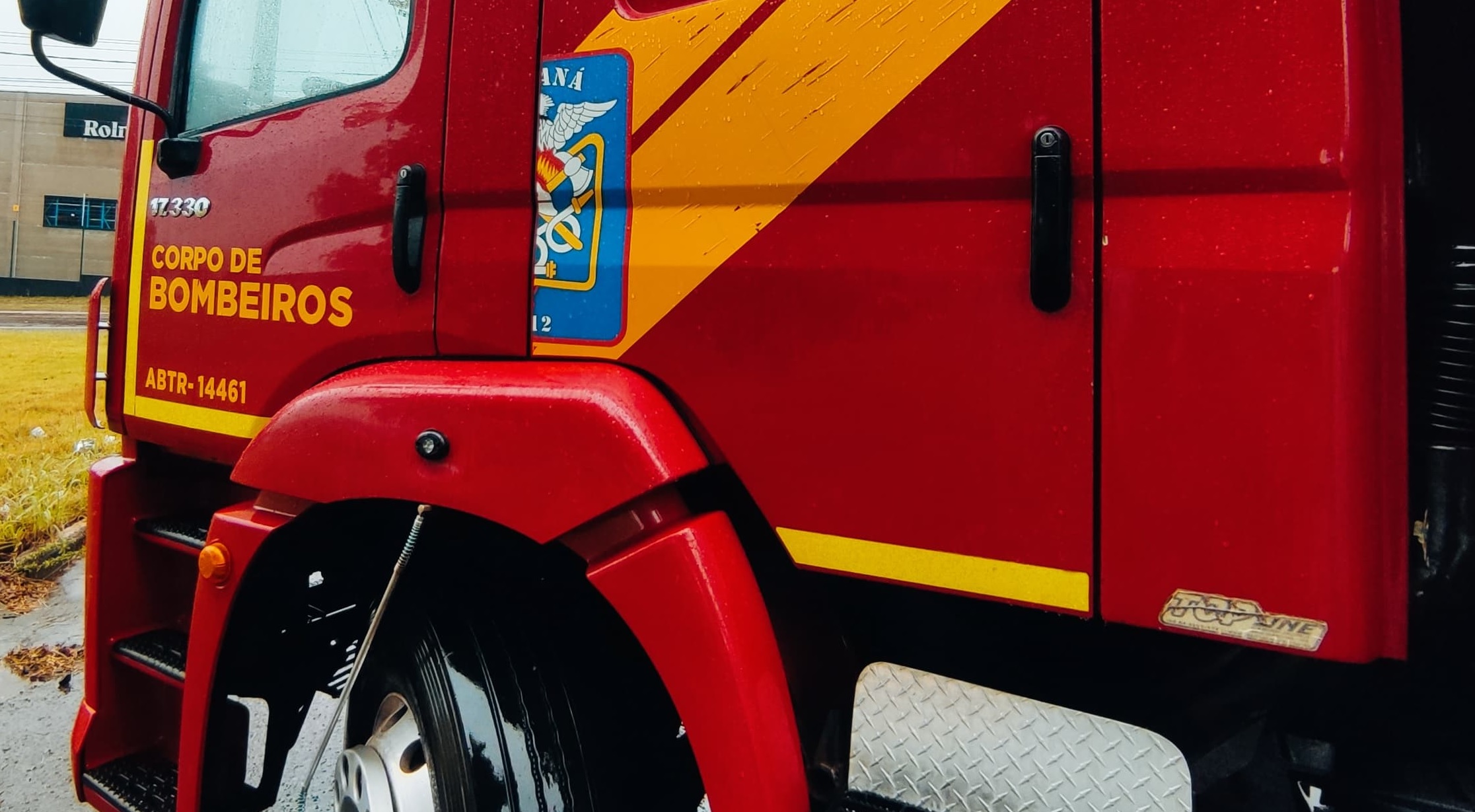 Cachorrinhos arrastados pela enxurrada são resgatados pelos Bombeiros