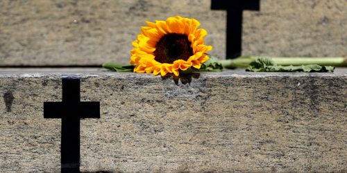 CNJ registra aumento de 225% no número de julgamentos de feminicídio Imagem referente a CNJ registra aumento de 225% no número de julgamentos de feminicídio