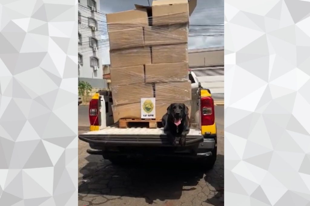 Polícia apreende maconha escondida em bobinas de papel em transportadora em Foz do Iguaçu