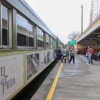 Imagem referente a Setor de serviços acumula alta de 3,1% em 12 meses no Paraná; turismo cresce 7,1%