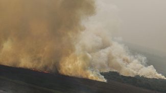 Dino homologa parcialmente plano anti-incêndios na Amazônia e Pantanal