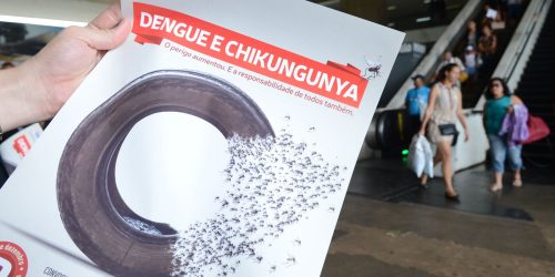 Chikungunya: em surto, município de SC registra segundo óbito Imagem referente a Chikungunya: em surto, município de SC registra segundo óbito