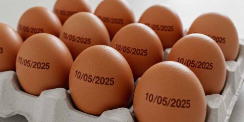 País tem recorde na produção de ovos, abate de bovinos, frango e porco Imagem referente a País tem recorde na produção de ovos, abate de bovinos, frango e porco