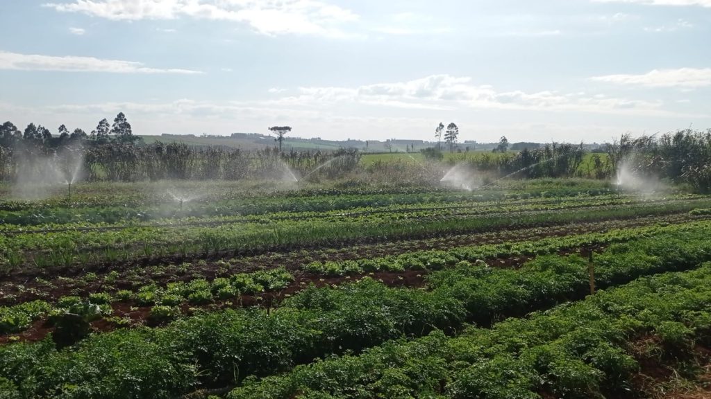 Cascavel anuncia licitação de R$ 200 mil em equipamentos agrícolas para o Assentamento Santa Terezinha