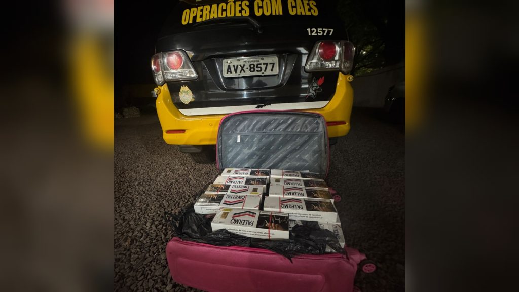 PM apreende 100 pacotes de cigarros contrabandeados em ônibus na BR-369