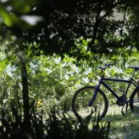 Imagem referente a Outono começa com previsão de temperaturas acima da média