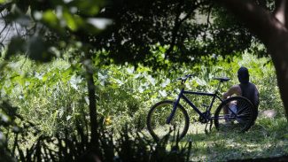 Outono começa com previsão de temperaturas acima da média