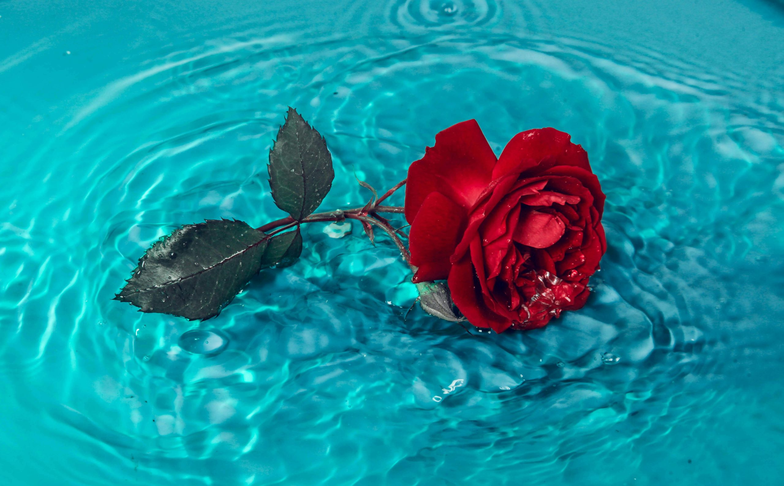 Idosa de 94 anos morre afogada em piscina