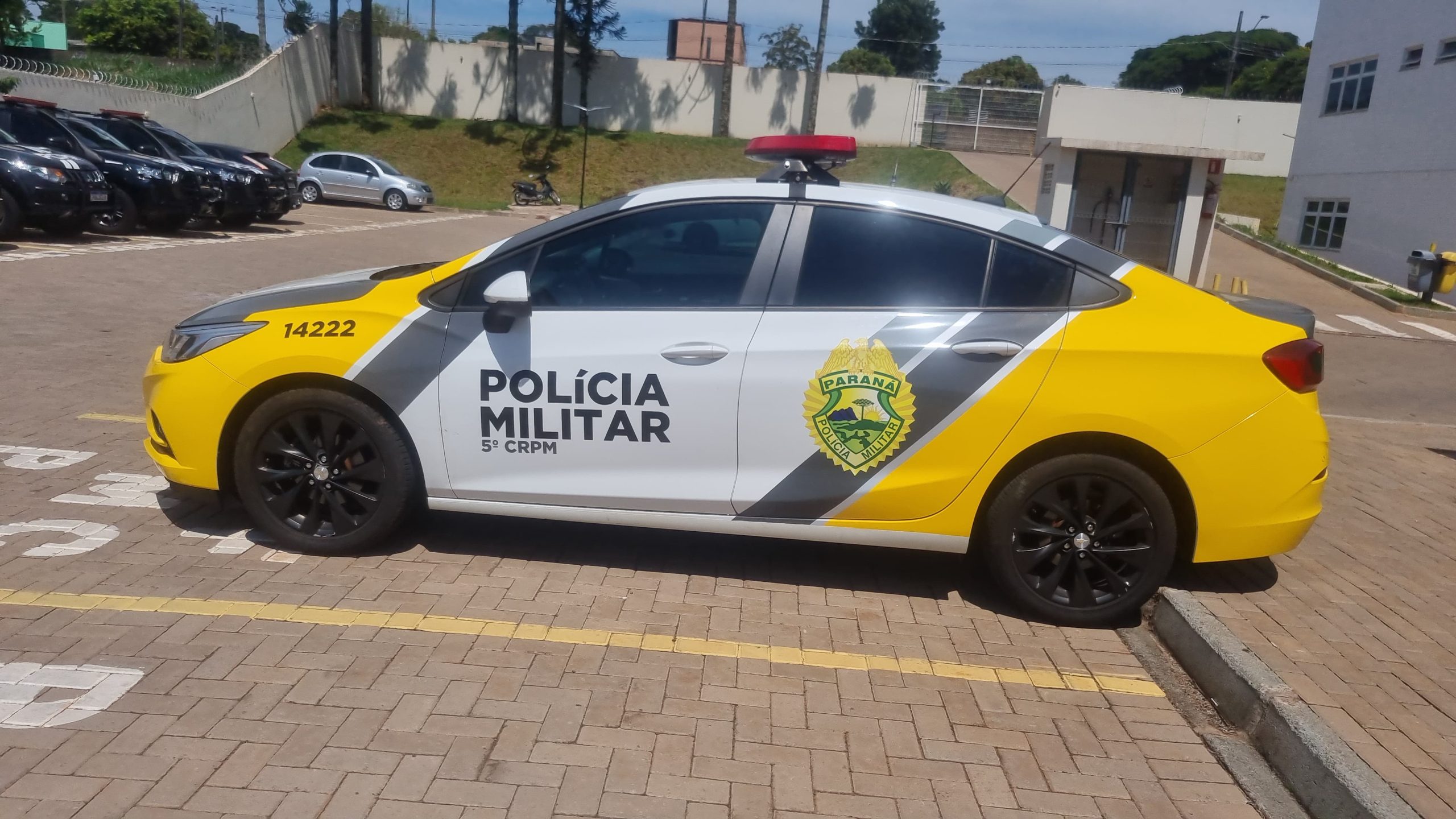 Filha é detida por descumprimento de medida protetiva contra a mãe
